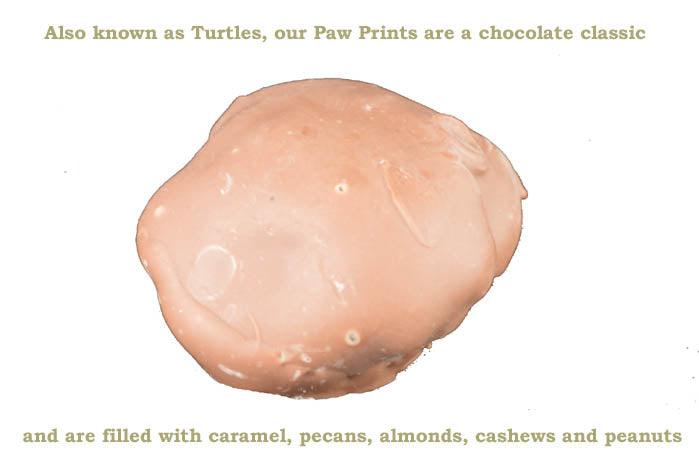 
                      
                        Chocolate Paw Prints 1 Pound Box - CandyFavorites
                      
                    