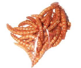 Larvets Assorted Worm Snacks - CandyFavorites